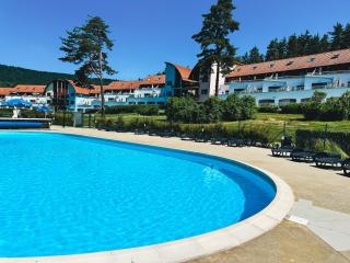 Lipno Apartmán - Lipno nad Vltavou - 0