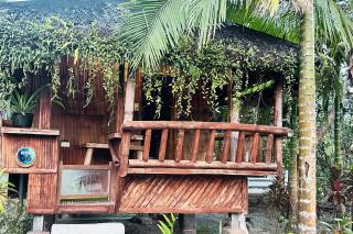 Spark Camp - Baler Resorts - Baler - 5