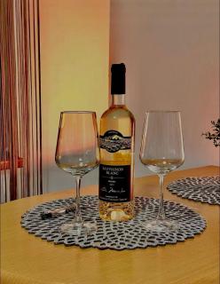 Joy City Stay Victor Babes 14 - Timişoara - 6