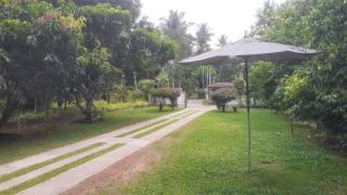 The Garden Airport Resort Katunayaka - Katunayake - 5