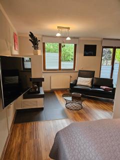 Studio Parterre Kamin - Fehrenbach - 1