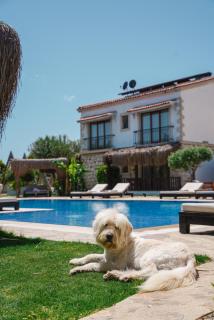 Albeon Luxury Hotel - Alacatı - Alaçatı - 5