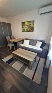 Charm & Cozy APT Miramarska by HOME APARTMENTS - Zagabria - 2