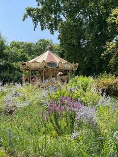 La Villa Bocage - Bordeaux - 3