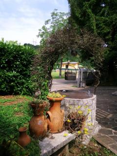 Casa al Pino - San Giovanni Ilarione - 8