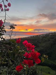 Calheta Suites - Vinha - Adults only - Calheta - 3