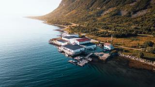 Northern Light Hotell/Camp Steinfjord - Berg - 9