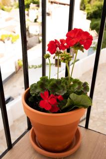 La Mocha Casa Rural - La Casa de Ani - 6