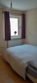 Quiet nice flat-East london-E7 - Londra - 6