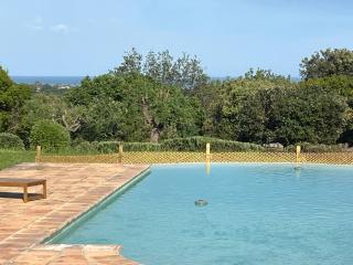 Spacious villa in Biot - Biot - 9