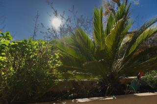 Le Botanica - Nice - 5