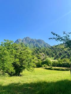 Nika Guesthouse & Camp - - 2