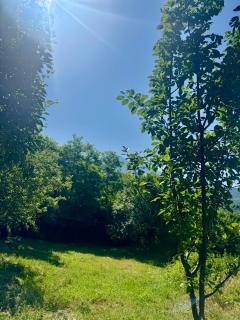 Nika Guesthouse & Camp - - 3