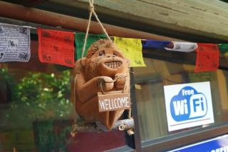 Pokhara Wanderer Hostel - - 0