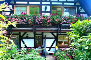 Haus Bachschwalbe - Sasbachwalden - 9