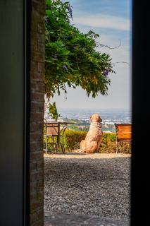 Rocchetta Cionini - a Castle overlooking the Motor Valley - Montebaranzone - 2