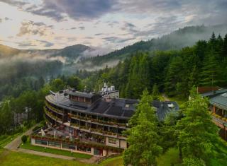 Hotel SPA Dr Irena Eris Krynica Zdrój - Krynica-Zdrój - 9