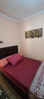 Panorama Apartment with a charming sea view near Alexandria and Burg ElArab Airport with Free Wifi شقة باطلالة ساحرة على البحر اول الساحل الشمالي واي فاي مجاني迷人海景公寓 免费无线网络 - Alessandria d'Egitto - 6