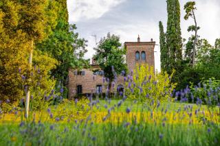 Rocchetta Cionini - a Castle overlooking the Motor Valley - Montebaranzone - 9
