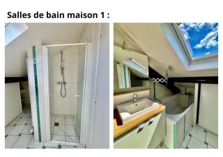 2 maisons pouvant accueillir 22 personnes - 1