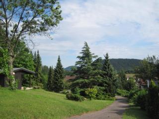 Ferienhof auf dem Berg - 6