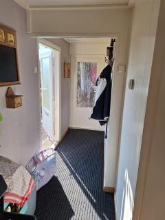 Cosy 1 bedroom chalet near the woods - Anloo - 2