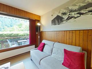 Studio confortable - 4 pers, parking, animaux acceptés - FR-1-241-97 - 8