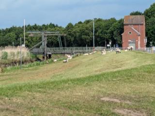 Ferienwohnung Am Deich, 86004 - 9