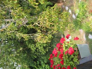 Ferienwohnungen Manz - 3