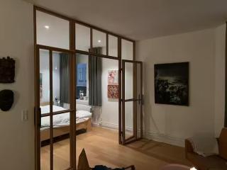 Penthouse by the city center - Copenaghen - 8