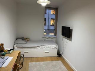 Penthouse by the city center - Copenaghen - 3