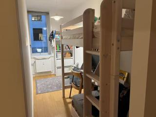 Penthouse by the city center - Copenaghen - 2