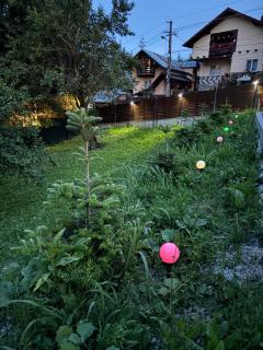 AVA Chalet - Comarnic - 5