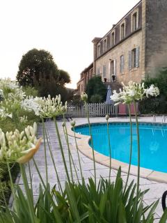 Le clos de l’Âne Dentelle - 7