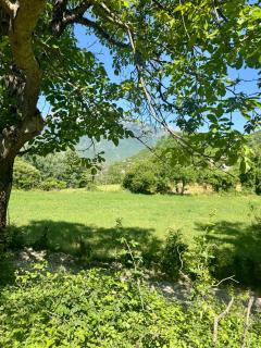 Nika Guesthouse & Camp - - 4