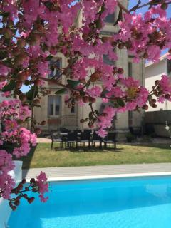Villa Myosotis - Saint-Palais-sur-Mer - 5