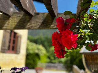 Haus Carolus - Elbigenalp - 1