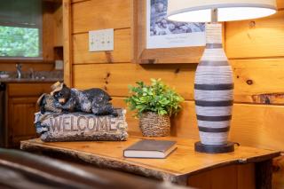 Bear Play 23 By Avada Properties - Pigeon Forge - 3