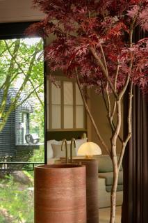 The Woodland Suite Experience at the Montenotte - Cork - 1