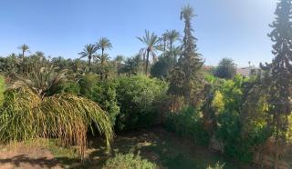 Villa Palmeraire Marrakech, Private pool, Private Hamam - Marrakech - 5