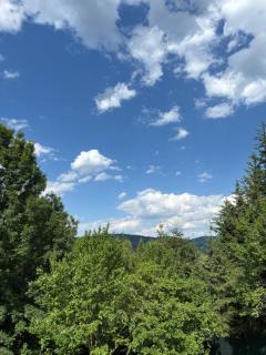 AVA Chalet - Comarnic - 6