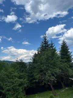 AVA Chalet - Comarnic - 7