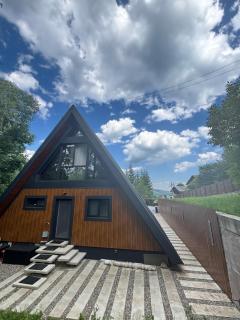 AVA Chalet - Comarnic - 8