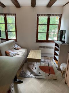 Appartement chaleureux à la Petite France - Straatsburg - 5