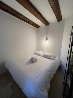 Appartement chaleureux à la Petite France - Straatsburg - 4