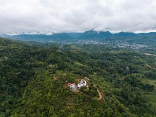 Rose Hill Bungalow - 6