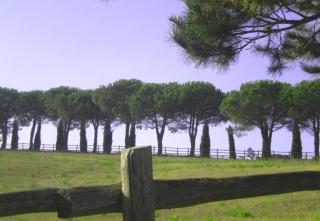 Sweet tuscany Villa for 6 to 8 people near the sea - Capalbio - 5