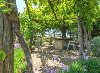 Sweet tuscany Villa for 6 to 8 people near the sea - Capalbio - 4