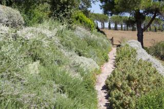 Sweet tuscany Villa for 6 to 8 people near the sea - Capalbio - 2