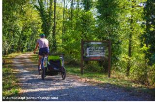 Friendly Camping and Lodges - 5